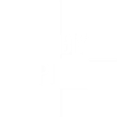 BIV — Beroepsinstituut van Vastgoedmakelaars